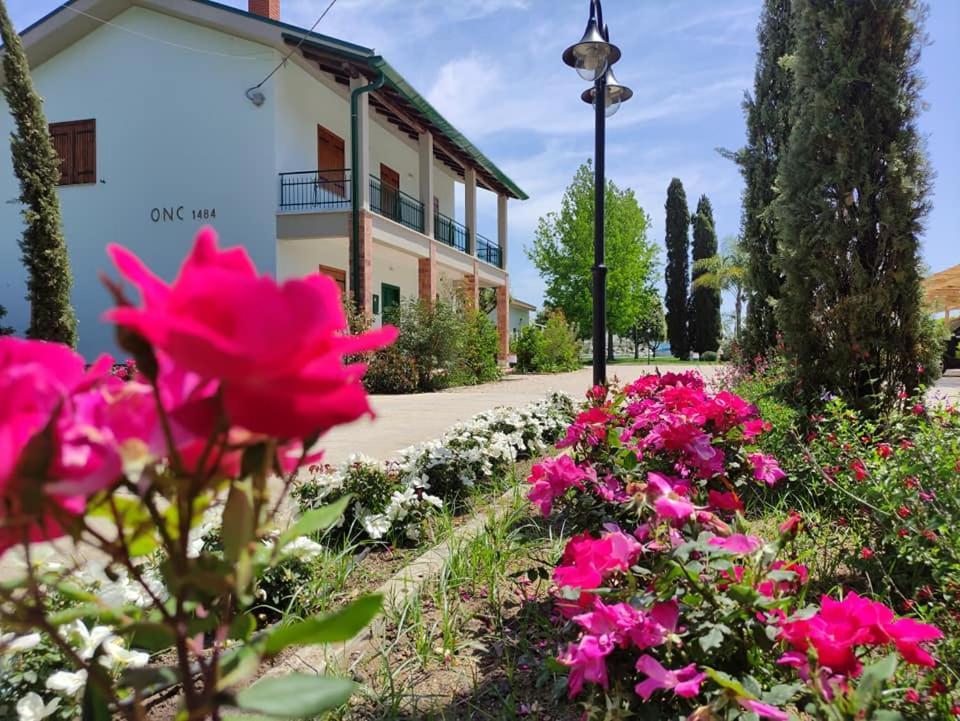Agriturismo Ariston Onc 1484 Sabaudia Exterior photo